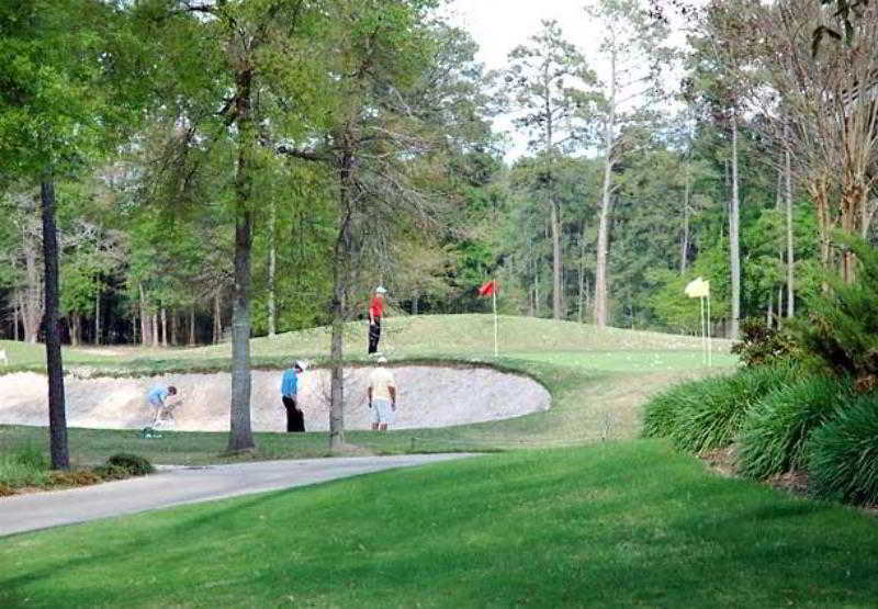 Heritage Place Houston Brookhollow Ανέσεις φωτογραφία